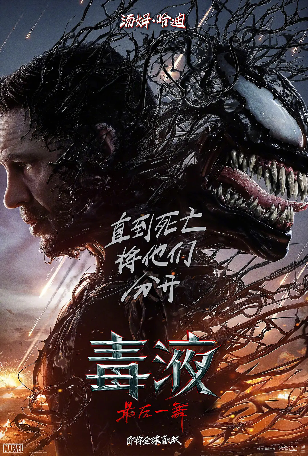 《毒液：最后一舞》